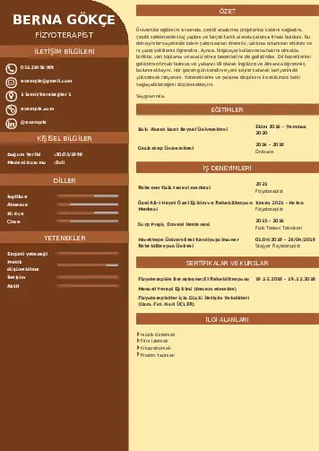 Fizyoterapist Cv Örnekleri cv indir